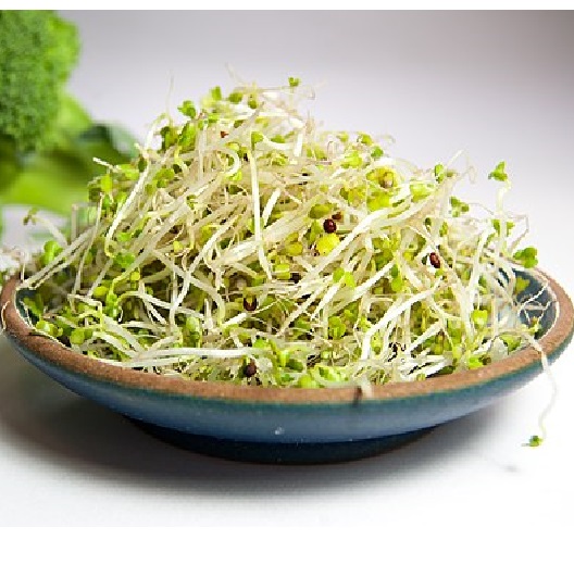 Broccoli2 sprouts