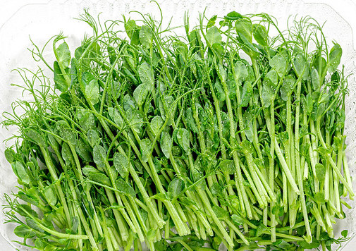 Pea microgreens