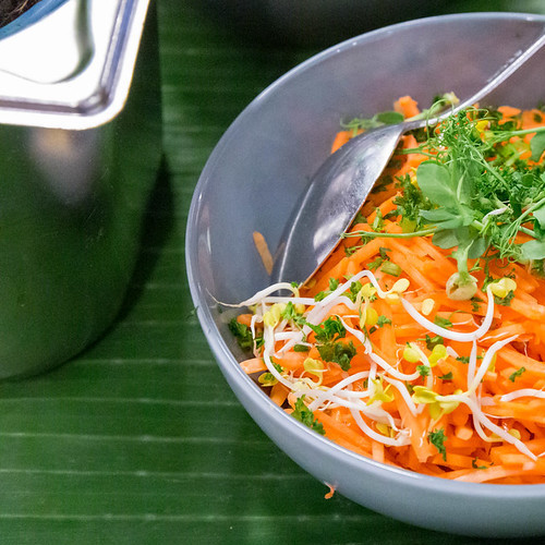 Carrot microgreens