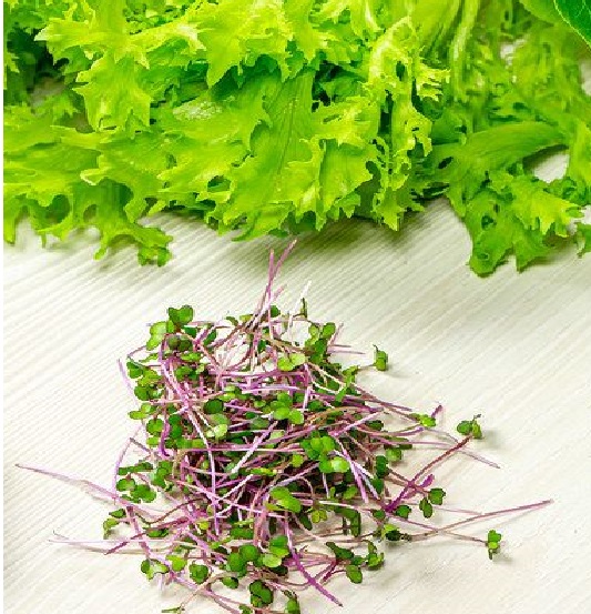 Salad2 microgreens