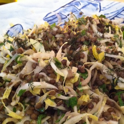 Chicory sprouts