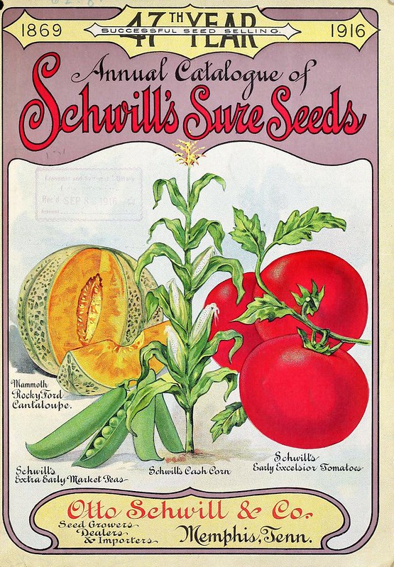 Schwills shure Seeds